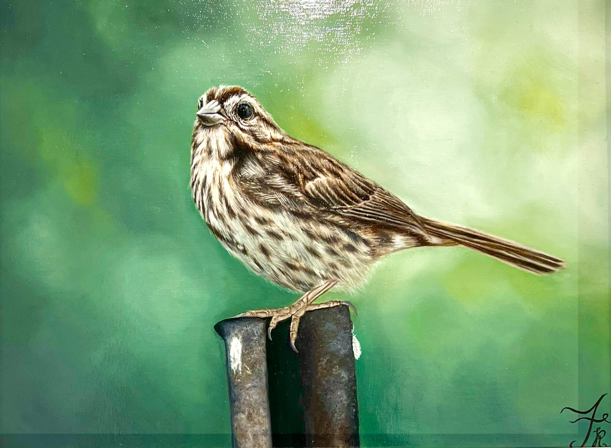 Sparrow in Spring